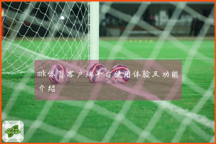 mk体育客户端平台使用体验及功能介绍