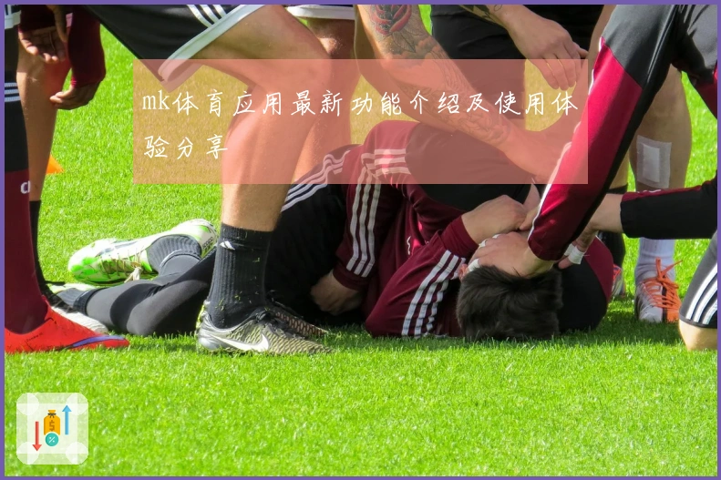mk体育应用最新功能介绍及使用体验分享